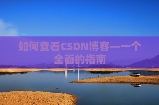 如何查看CSDN博客—一个全面的指南